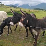 Font-romeu Via Odeillo Jolie 6 Personnes Plein Sud Apartmán